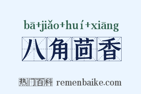 八角茴香是什么意思的图片